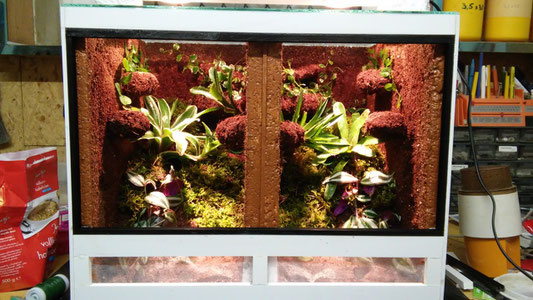 Terrarien aus forex platten terrarium