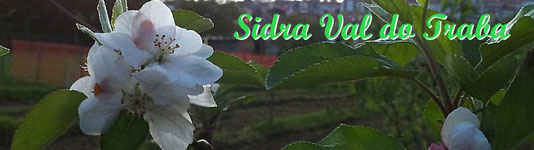 sidra galega