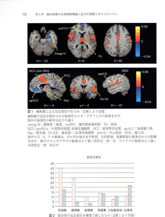 前頭葉、頭頂葉は活性化。辺縁系、大脳基底核は不活性化。