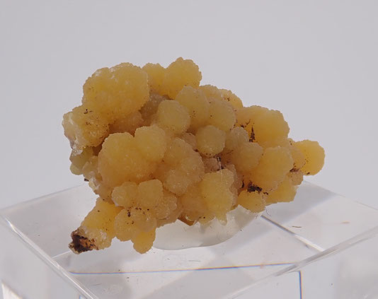 Mexico mimetite