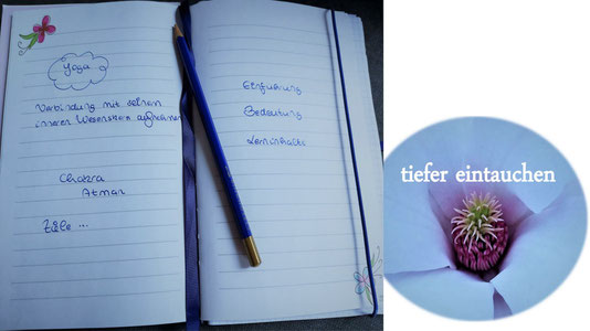 Workshops Heidelberg Workshop Yoga Heidelberg Yin Yoga Rücken Yoga Yoga Nidra Eva Metz Gesundheitsweg 10er Karten 5er Karten Einzelunterricht