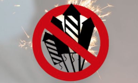 (Bild: feuerwerksinitiative.ch)