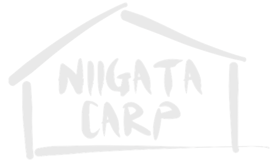 新潟大学CARP 公式サイト