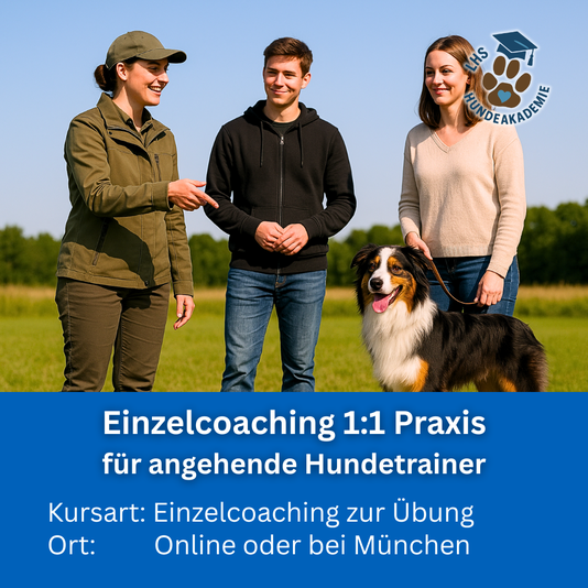 Einzelcoaching Praxisstunden Hundetrainer