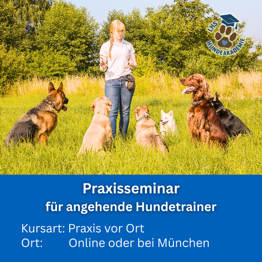 Praxisseminar Hundetrainer