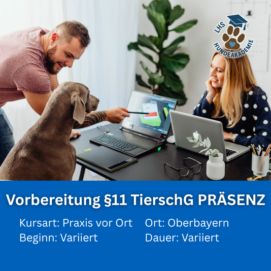 Vorbereitung Paragraph 11 TierschG Hundetrainer