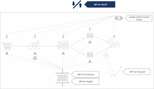 Die einzelnen Bestandteile von SAP IBP