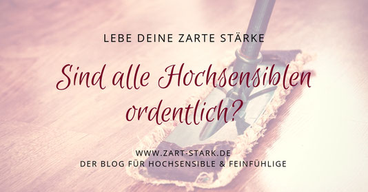Bild Wischmop