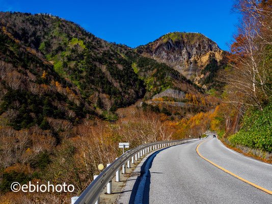 金精道路