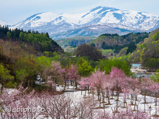 月山