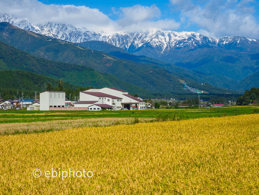 白馬村