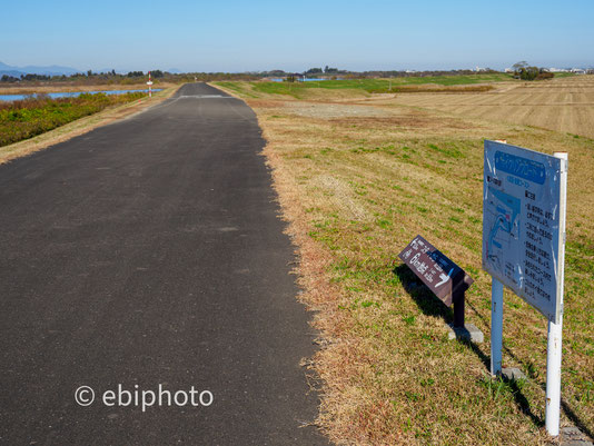 阿武隈川サイクリングロード