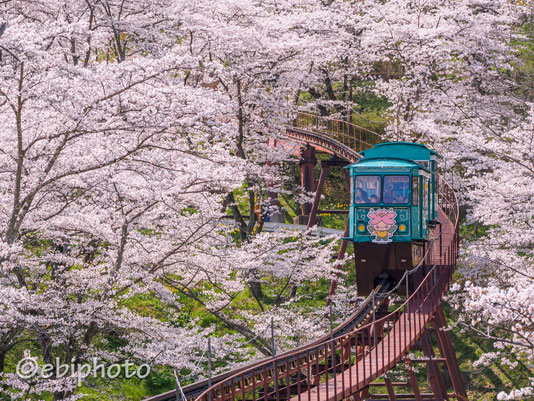 船岡城址公園