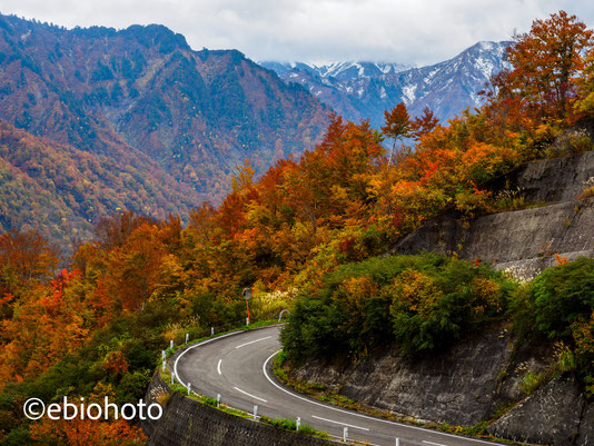 枝折峠