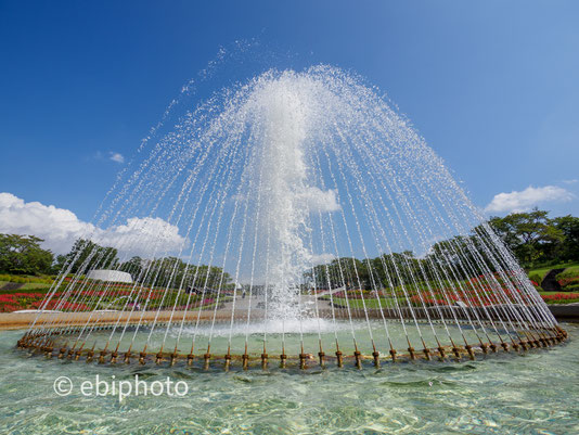 国営みちのく杜の湖畔公園