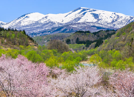 『「山形日和。」フォトコンテスト2020』入賞作品