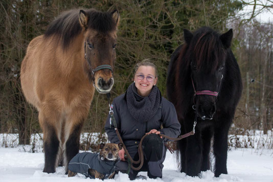 Tiergestützte Pädagogik, Therapeutisches Reiten, Reitunterricht Hund, Pferd, Paderborn
