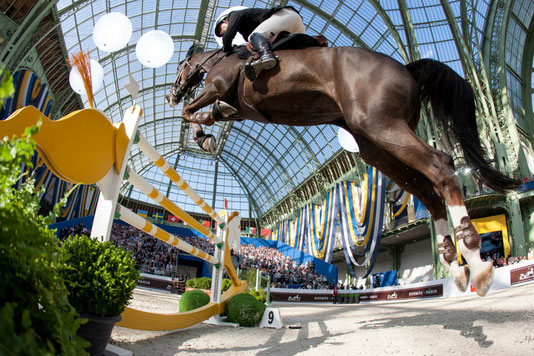 saut hermès, grand palais, romain duguet,