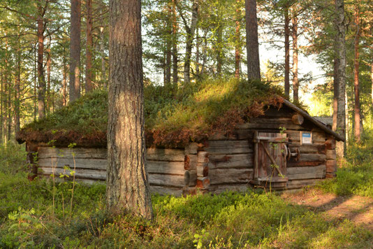 Gammplatsen Lycksele Västerbotten Sverige Zweden