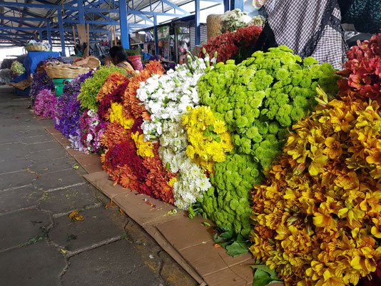 Blütenpracht auf dem Markt in Antigua