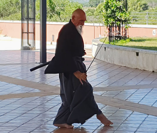 Sensei Maestro maharishi sathyananda che mostra un movimento di ay jutsu in equilibrio