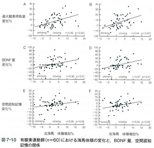 有酸素運動群における海馬体積の変化とBDNF量、空間認知記憶の関係