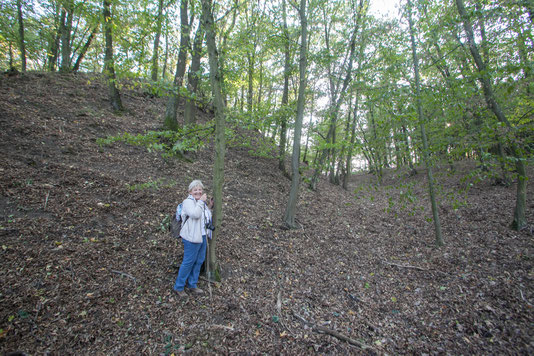 Der gewaltige Holz-Erde-Wall vom Bugstall Alteck.