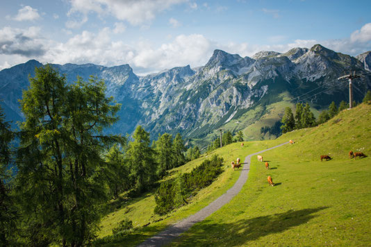 Dem Himmel ganz nah - Werfenweng liegt auf 900 Metern Höhe.  Foto: djd/Tourismusverband Werfenweng/C. Schartner
