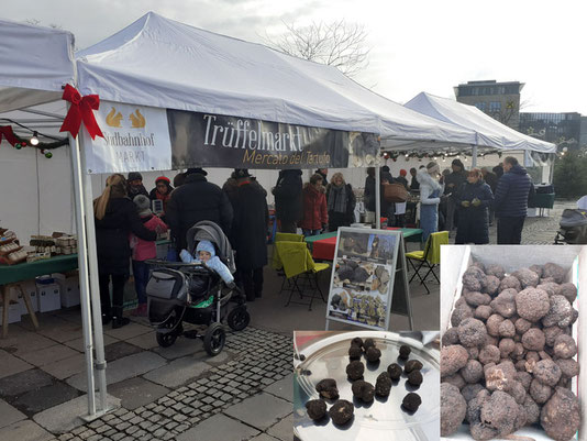 Am 13. und 14.Dezember 2019 fand der „Mercato del Tartufo“ – einen Trüffelmarkt statt. Bei einem umbrischen Trüffelhändler und einem italienischen Olivenöl-Experten konnten hier Trüffelliebhaber die wohl teuersten Knolle der Welt nach Lust und Laune gusti