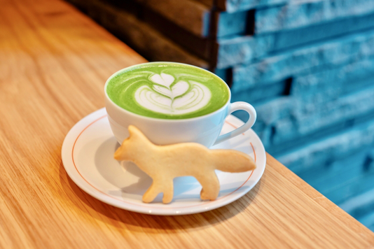 カフェのバックヤード。パントリーにカップやコーヒーミル、ドリップなどが並んでいる。