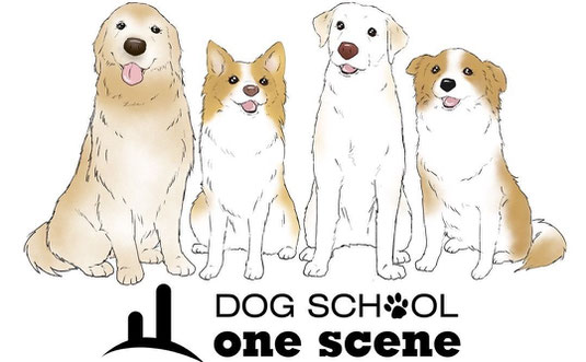 埼玉の犬のしつけ教室-ドッグスクール one scene