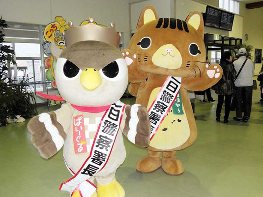 1日署長を務めた(右から)ピカリャ~、ぱいーぐる=石垣港離島ターミナル