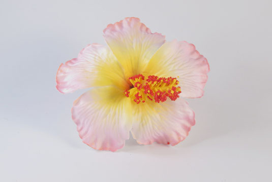 Hibiskus  Blumen Haarclip