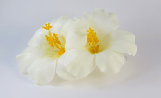 Hibiskus  Blumen Haarclip
