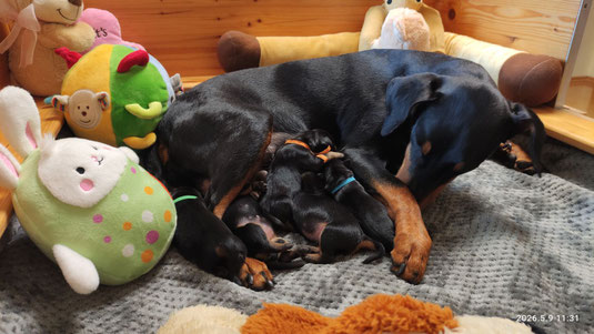Stolze Mama mit ihren Kleinen ;-))