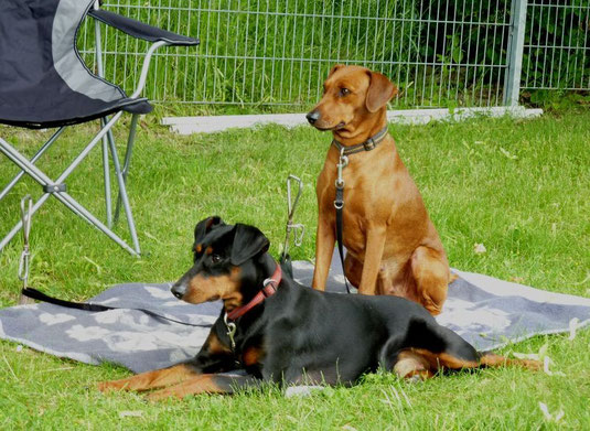 16.06.2013, Geeva und Onnie warten auf ihren "großen Auftritt"  ;-))