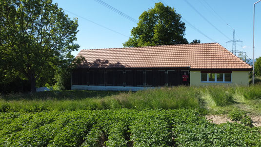 Klicke auf das Bild 