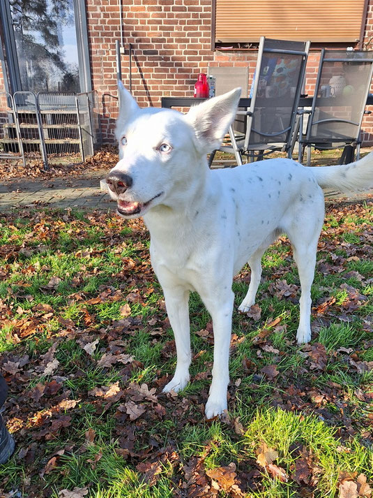 Arik - ein toller, großer Bub!