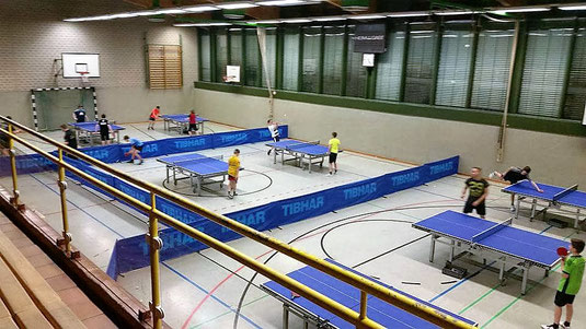 Dein Tischtennisverein in Wernigerode / Harz! (Sachsen-Anhalt). Besuche uns im Giesserweg 6 ... Regionalliga-Spiele in der Francke-Arena, Friedrichstr. 63