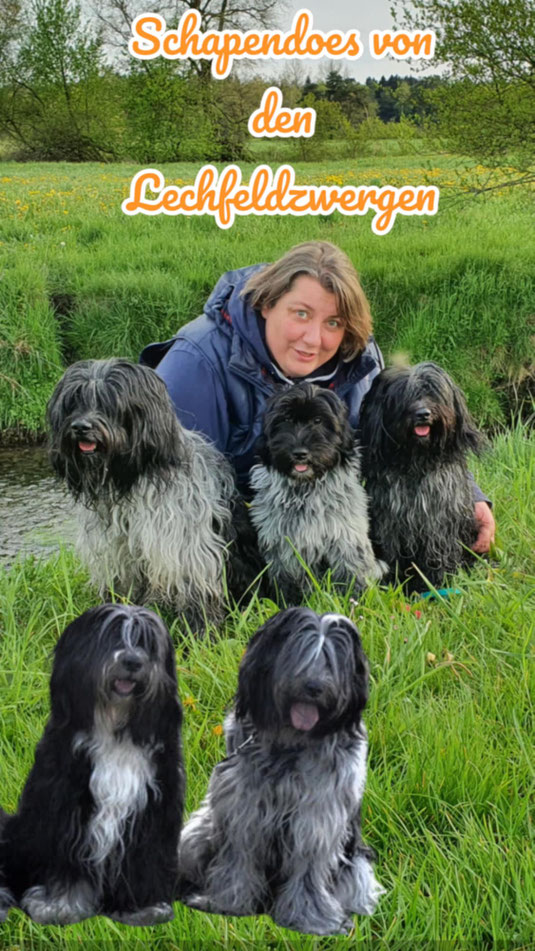 oben Amy, Celly, Kissy 🐾 unten Enya und Aziza 🌈