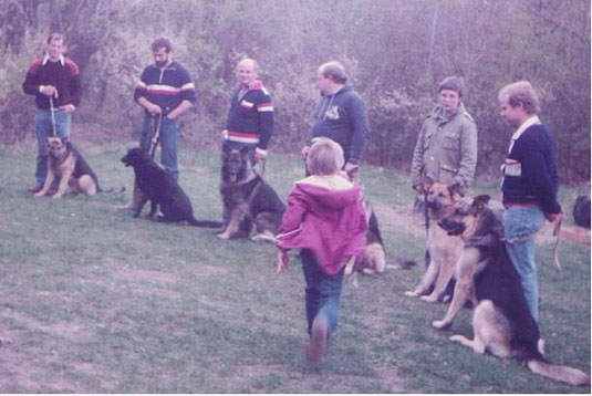 Frühjahresprüfung 1982
