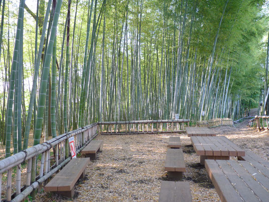 約２０００本の孟宗竹が生い茂る園内。清涼な風が心地よい公園です。