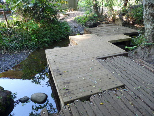 竹林公園内の湧水にかかる木橋