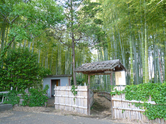 竹で作られた生け垣で囲まれた竹林公園入口