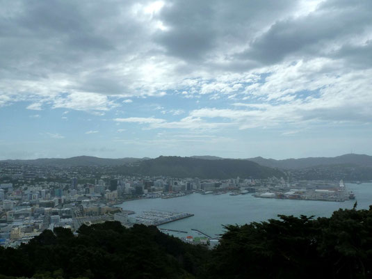 Wellington City mit Waterfront und Hafen.