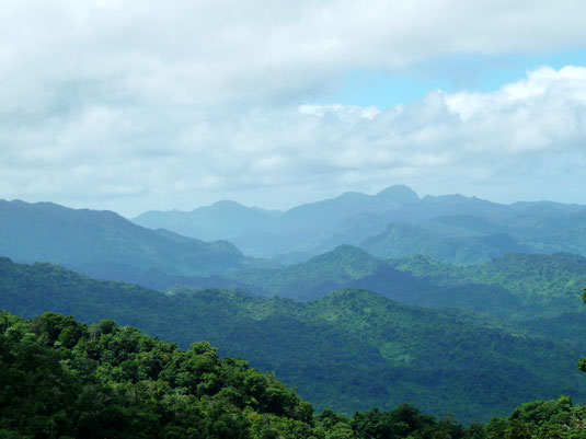 Wunderbare Aussicht über den im Wasserdunst liegenden Regenwald bei Savusavu.