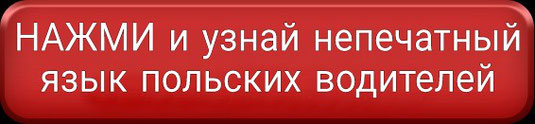 Работа в Польше водителем без опыта