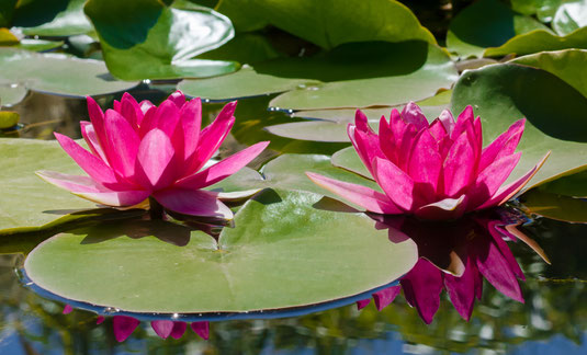 Entspannung, kurs, autogenes Training, progressive muskelentspannung, qigong