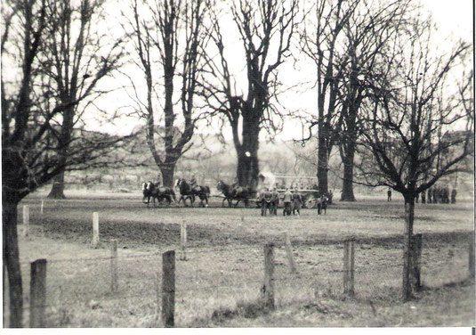 Pferdemusterung auf dem Bruch durch die Heeresverwaltung 1939