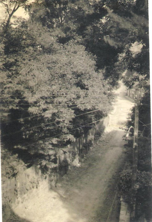 Die große Dreckstraße in Oldendorf vor dem Ausbau 1964/65